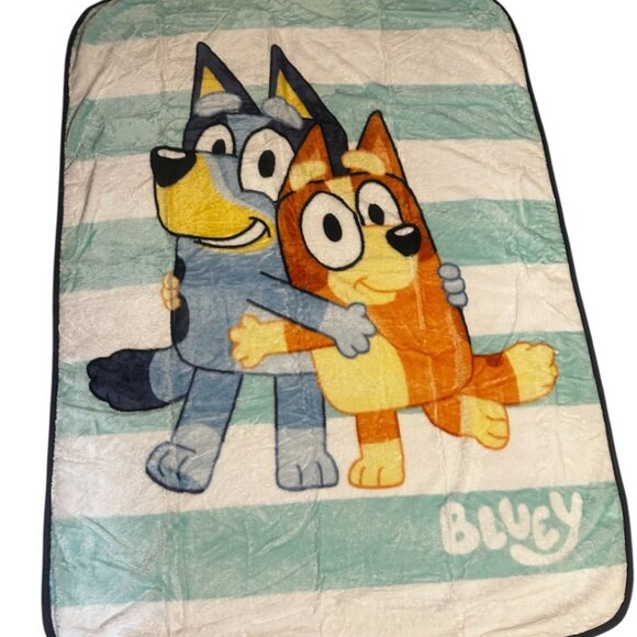 Disney Other - Bluey and bingo Twin Plush Blanket